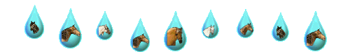 gouttes d'eau avec têtes de chevaux