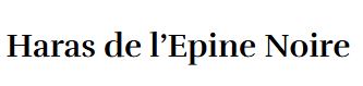 haras epine noire