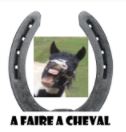 a faire a cheval