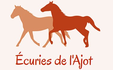 écuries de l'ajot pension chevaux dans la marne