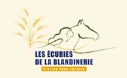 écuries de la blandinerie pension chevaux dans la marne