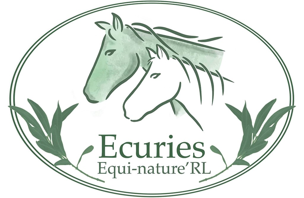 écuries equi-nature'RL écurie bien-être pour chevaux dans la Marne