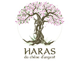 haras du chene d'argent écurie de propriétaire de chevaux