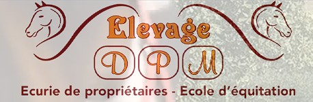 elevage DPM, pension pour chevaux dans la Haute-Vienne