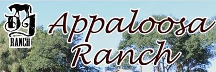 appaloosa
