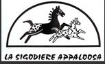 appaloosa