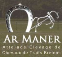 cheval de trait breton