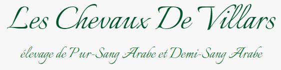 pur-sang arabe