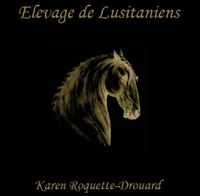 cheval lusitanien