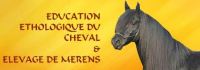 cheval mérens