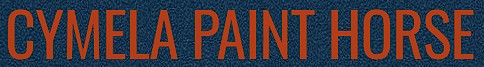 Cymela Paint Horse, elevage de Paint Horse dans le Morbihan