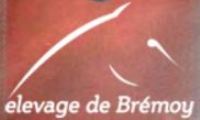 elevage de bremoy