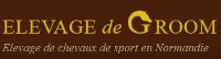 elevage de groom selle français elevage de groom