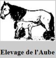 cheval poitevin mulassier