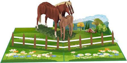 carte anniversaire 3d cheval