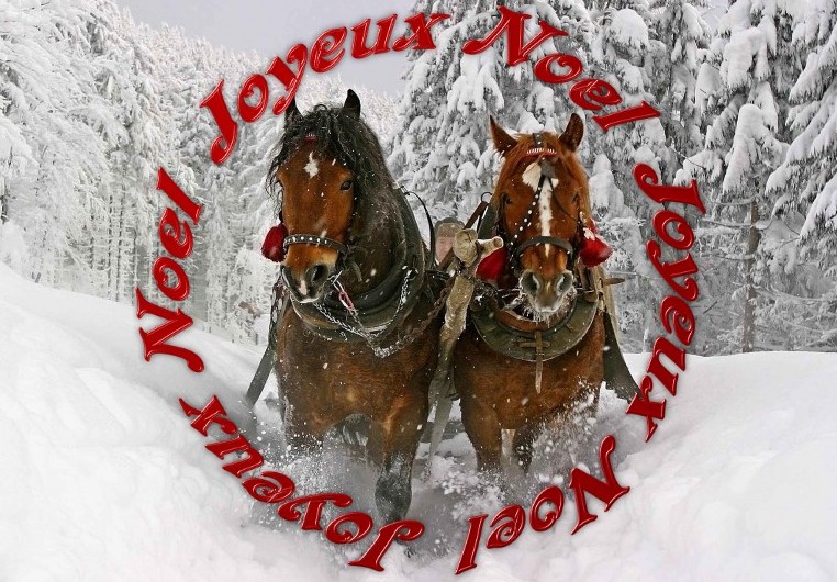cartes noel cheval - christmas cards horse