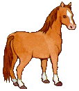 cheval