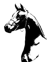 clipart tête de cheval