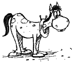 clipart drôle cheval