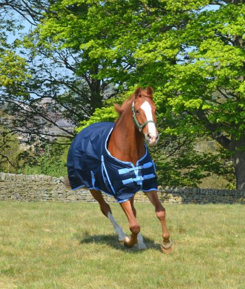 Couverture de pluie imperméable 600D pour cheval - Poids moyen - 200 g couverture de pluie imperméable pour cheval