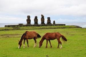 fond d'écran chevaux ile de paques