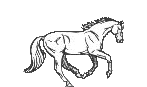 gif animé cheval au galop