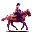 gif animé cowboy