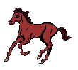 gif animé cheval