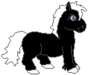 gif animé poney noir et blanc