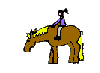 gif animé cheval