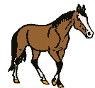 cheval