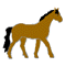 gif animé cheval