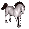 cheval