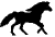 cheval au galop