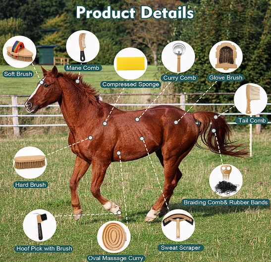 boîte de toilettage pour cheval