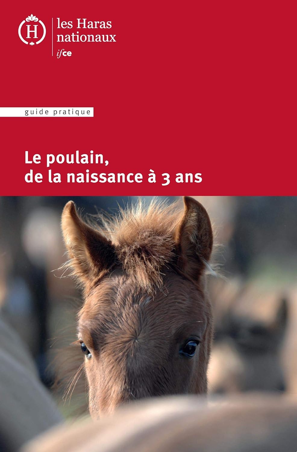 livre naissance du poulain