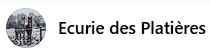 écurie des platieres, pension pour chevaux dans l ain