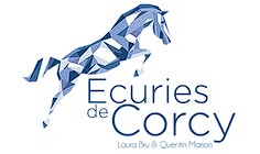 ecuries de corcy, pension pour chevaux dans l ain