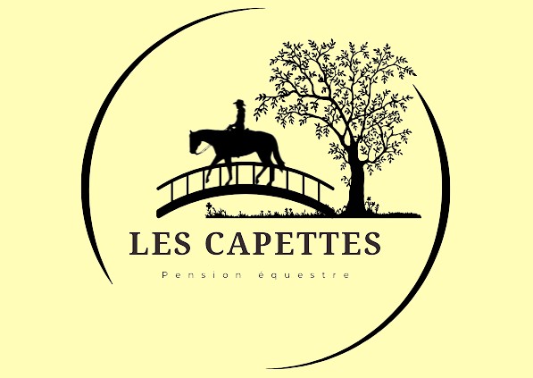 les capettes, pension pour chevaux dans l'Ain