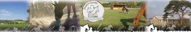 pension du moulin de la ville chamblon