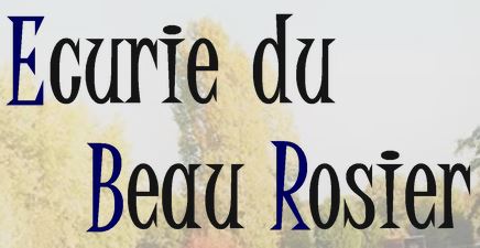 ecurie du beau rosier