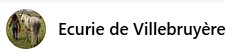ecurie de villebruyere, pension pour chevaux dans l allier