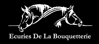 ecuries de la bouquetterie, pension pour chevaux dans l allier