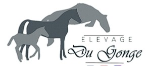 elevage du gonge, pension pour chevaux dans l'Allier