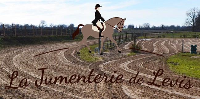 la jumenterie de levis, pension pour chevaux dans l'Allier