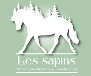les sapins, pension pour chevaux dans l allier