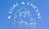 a lure a cheval, pension pour chevaux dans les alpes de haute provence