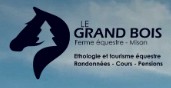 ferme equestre du grand bois, pension pour chevaux dans les alpes de haute provence