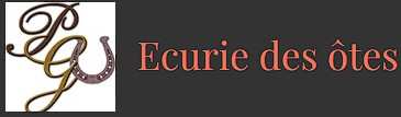 ecurie des otes, pension pour chevaux dans les hautes alpes