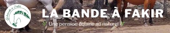 la bande a fakir